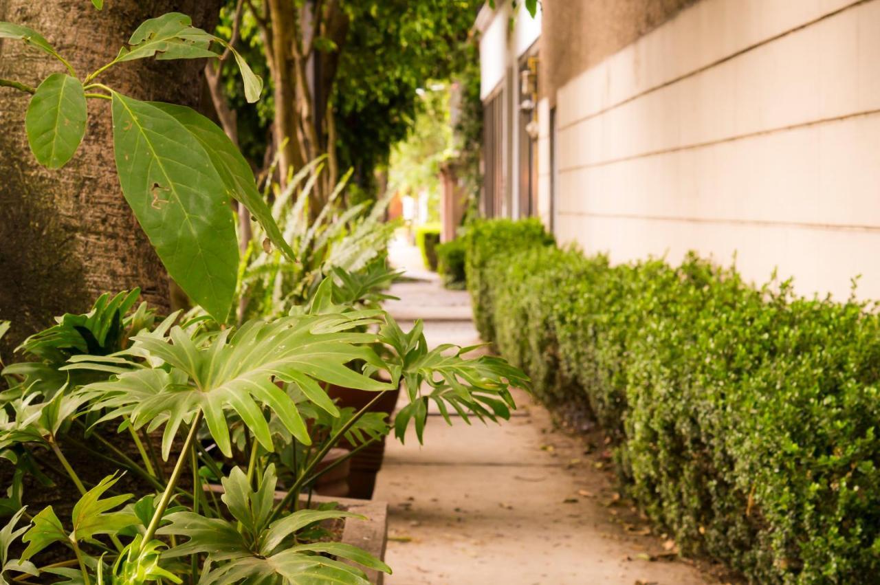 Suite 1-A Monasterio Garden House Welcome To San Angel Mexico City Exteriör bild