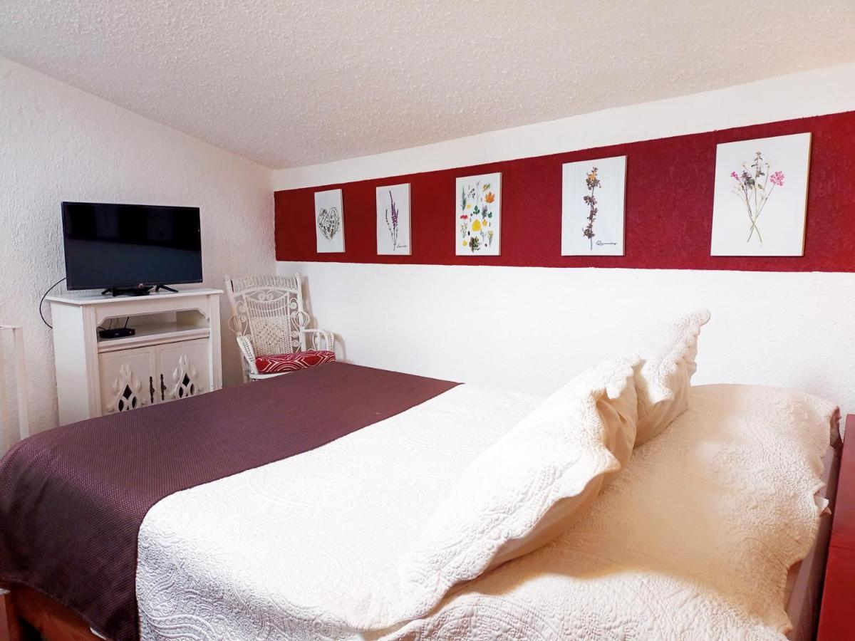 Suite 1-A Monasterio Garden House Welcome To San Angel Mexico City Exteriör bild
