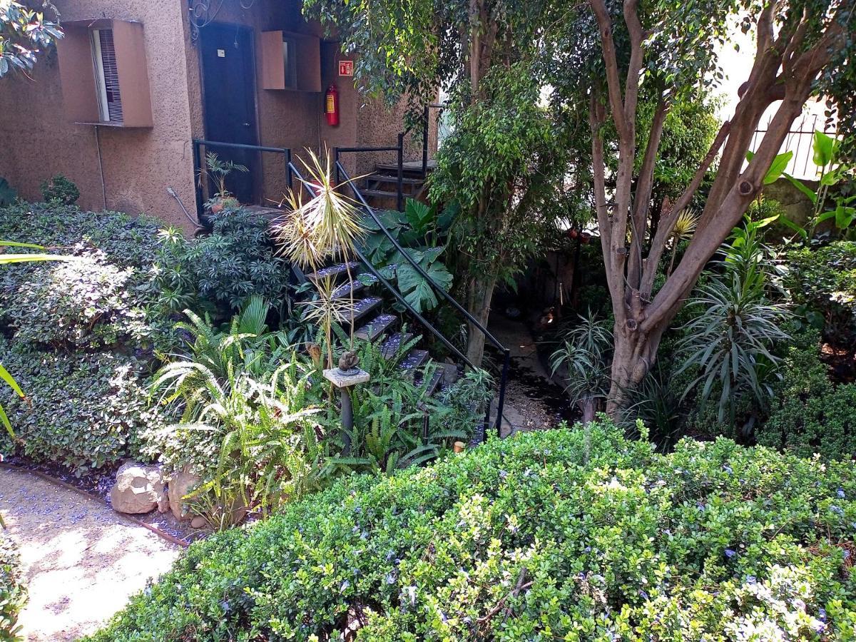 Suite 1-A Monasterio Garden House Welcome To San Angel Mexico City Exteriör bild
