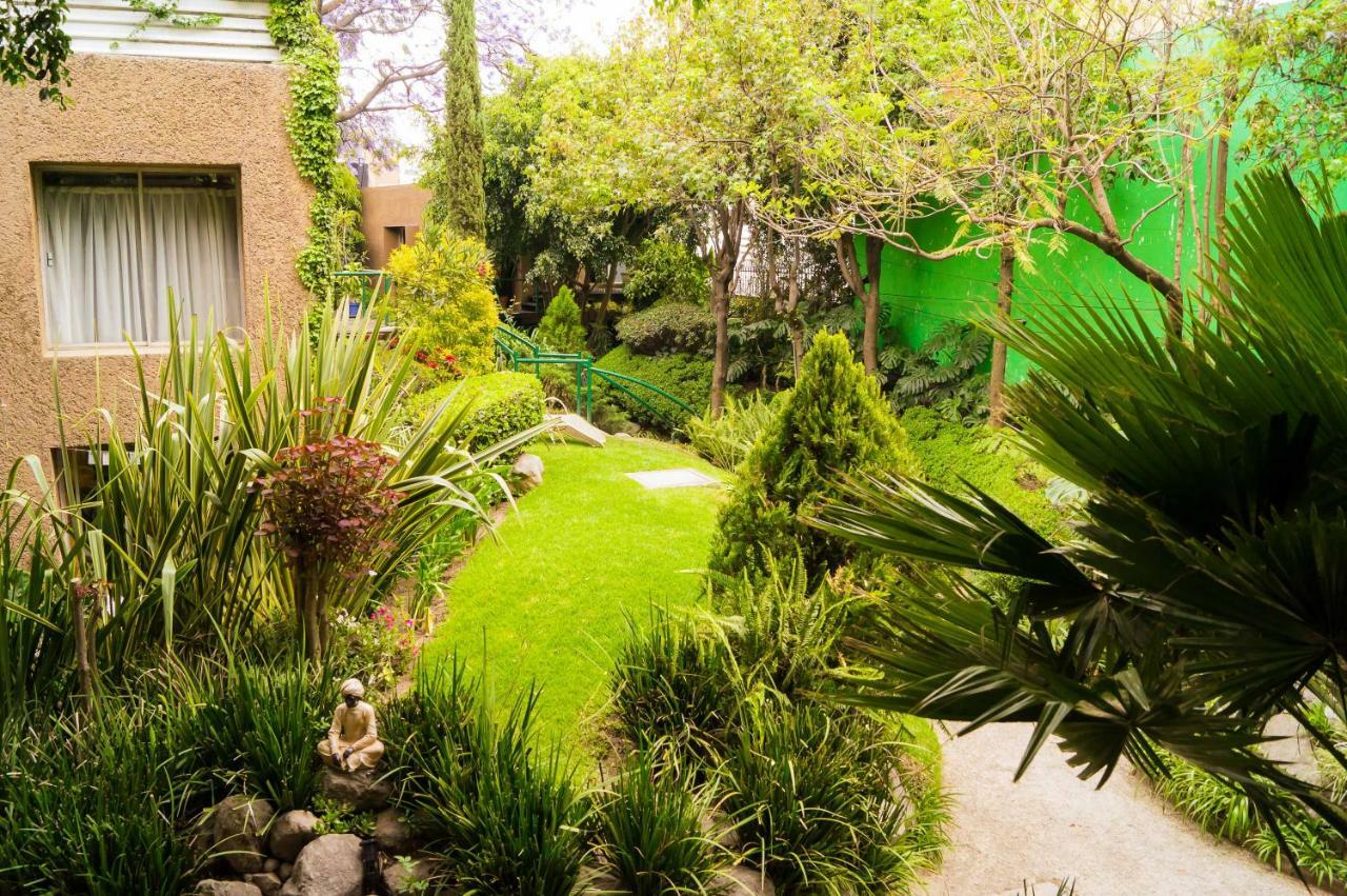 Suite 1-A Monasterio Garden House Welcome To San Angel Mexico City Exteriör bild