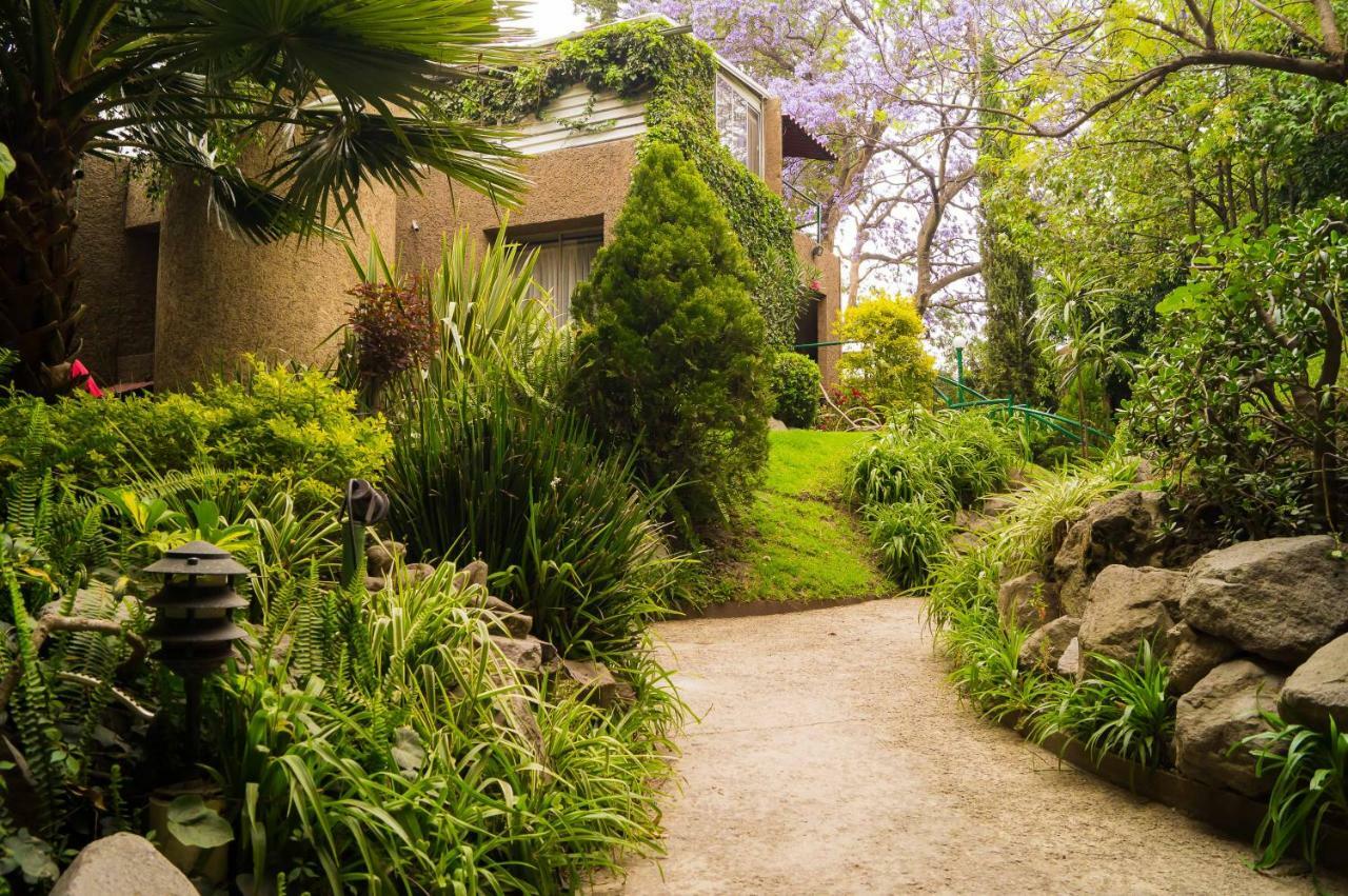 Suite 1-A Monasterio Garden House Welcome To San Angel Mexico City Exteriör bild