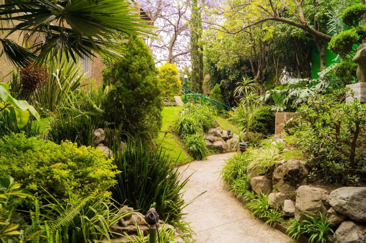 Suite 1-A Monasterio Garden House Welcome To San Angel Mexico City Exteriör bild